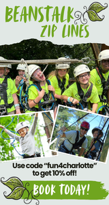 Beanstalk Zipline 